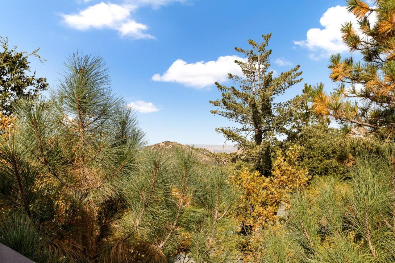 Ev Level 2, Pets Welcome At Sunset Ridge Lake Arrowhead Ngoại thất bức ảnh