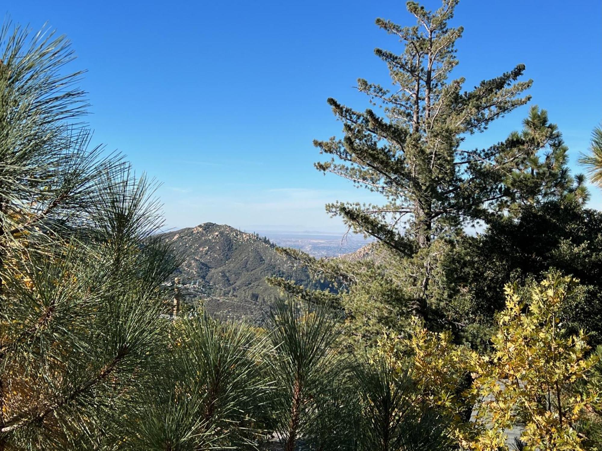 Ev Level 2, Pets Welcome At Sunset Ridge Lake Arrowhead Ngoại thất bức ảnh